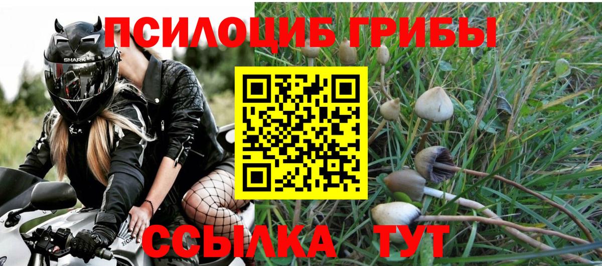 как найти закладки  Галлюциногенные грибы Cubensis  Псилоцибиновые грибы Magic Shrooms  Вход с VPN  Таганрог 